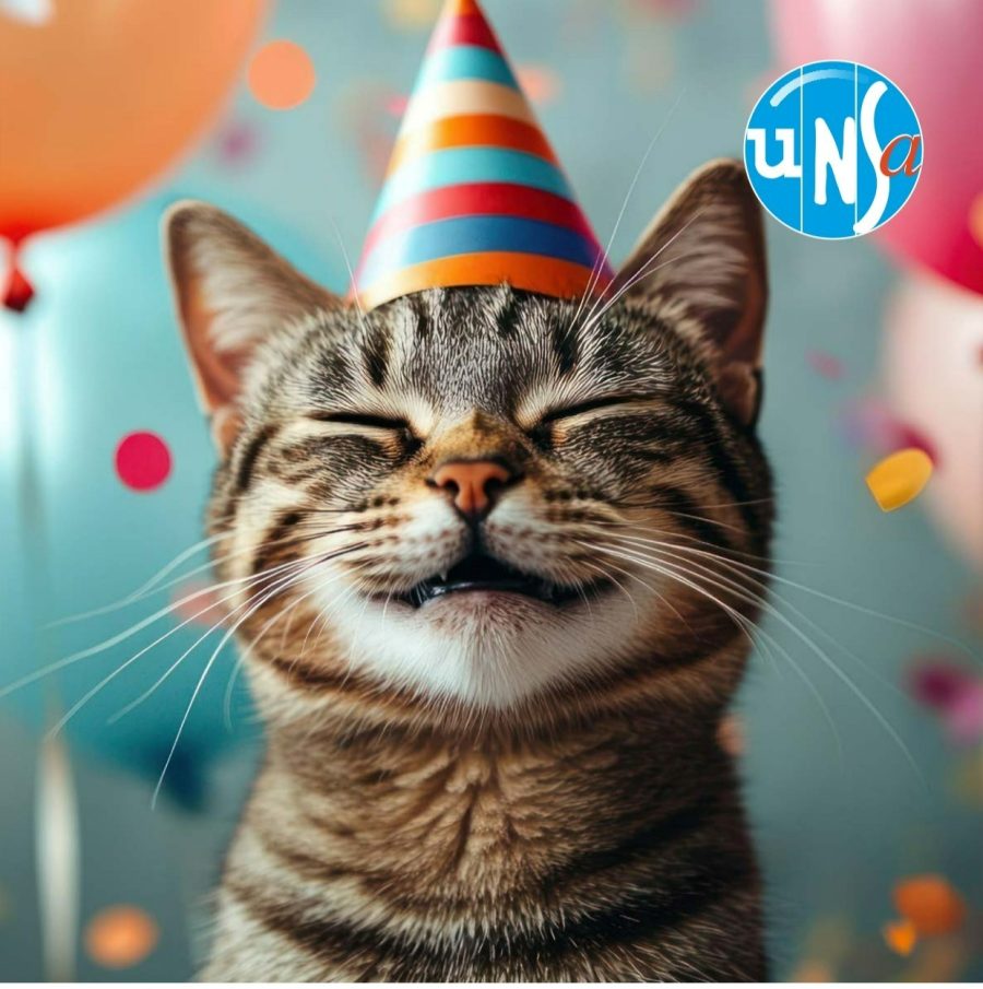 illustration UNSA pour les fêtes 2025